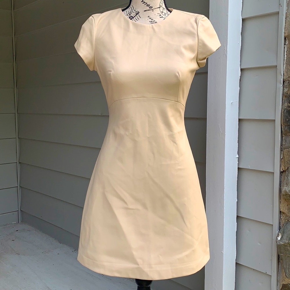 Zara trafaluc collection faux leather dress